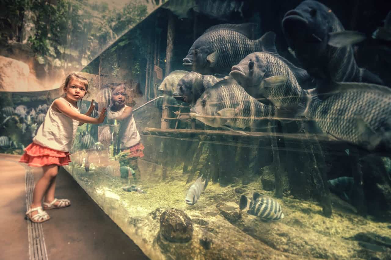 Photo by Andrzej Mucka: https://www.pexels.com/photo/girl-in-white-sleeveless-top-and-skirt-near-aquarium-2442392/